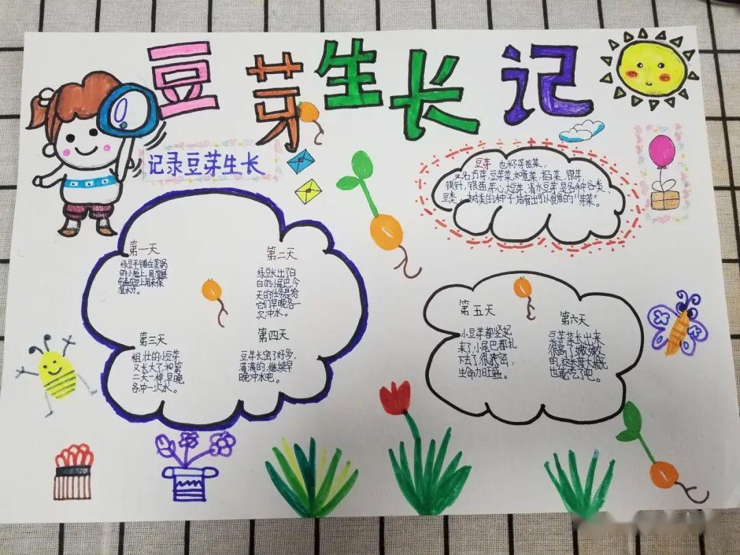 应天学子春满人间项目式活动作品三疫情下的春天只为向上而生