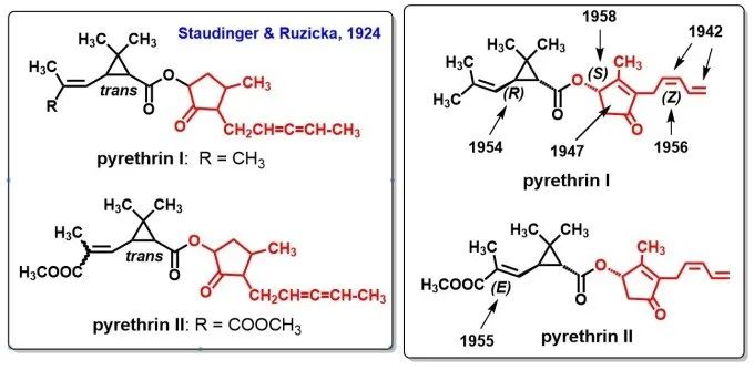蚊香中的化学成分除虫菊酯pyrethrins