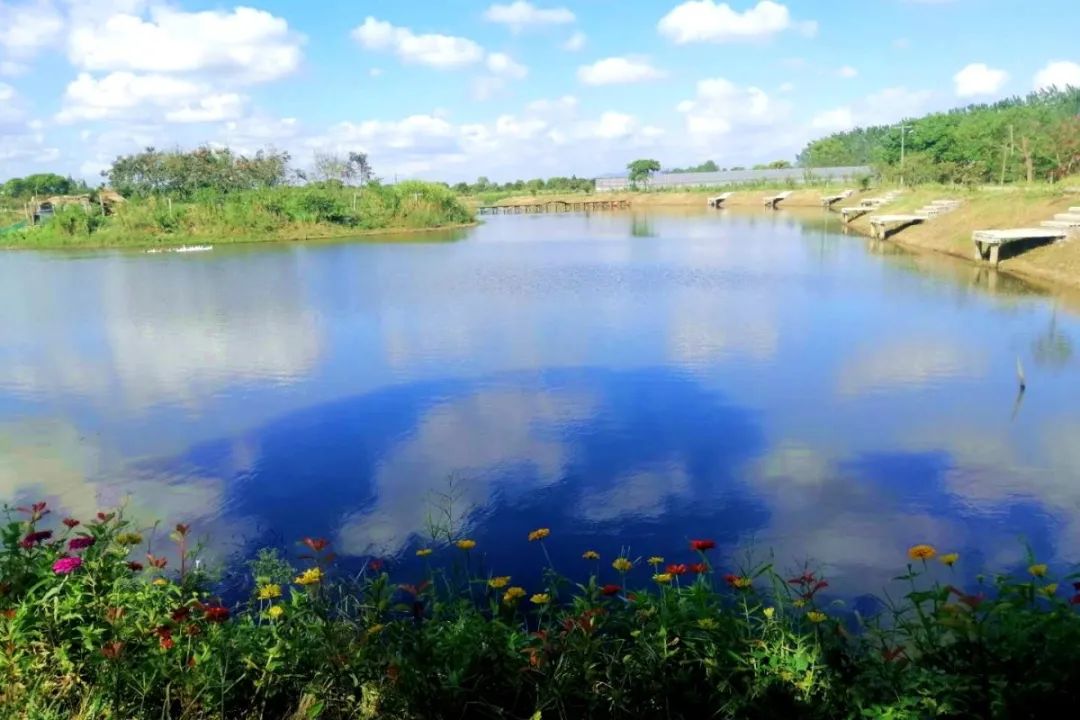 梁希研學實踐教育基地梁希森林公園位於湖州南郊七公里,以我國著名林