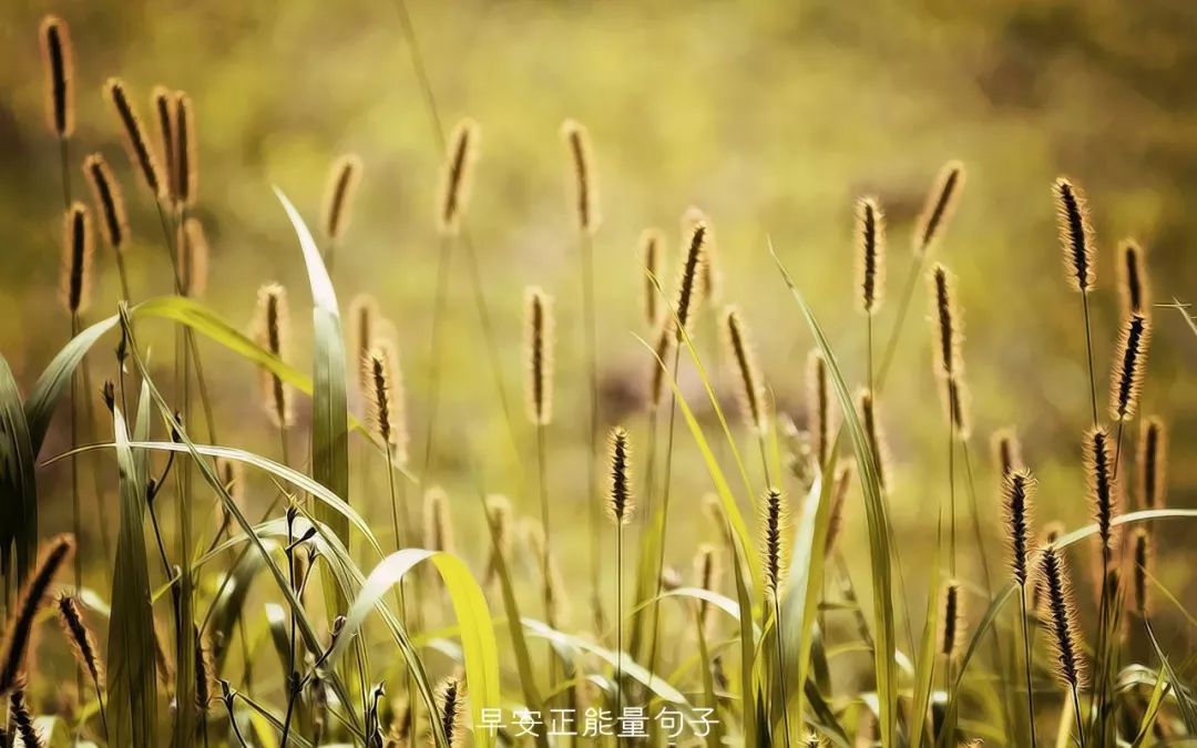 早安心語正能量圖片早安心語陽光唯美句子