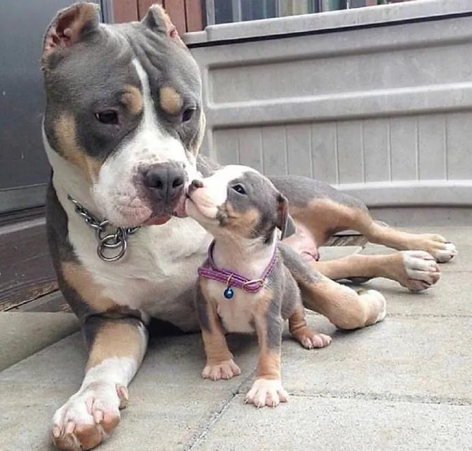 图片[21] - 【xizi被窝段子20200326】不管什么天气，记得随时带上自己的阳光 - xizi