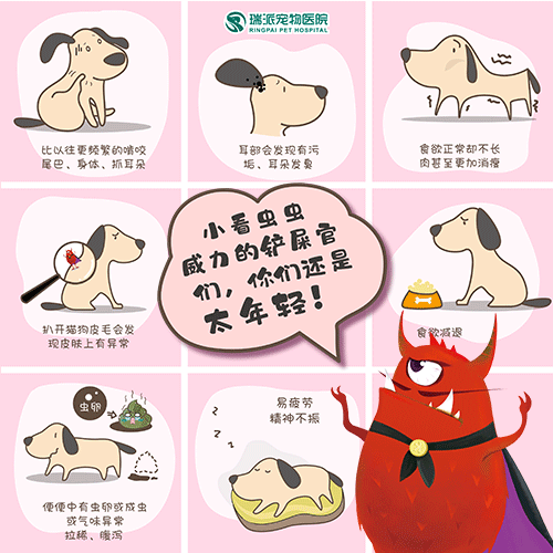 铭刻成长铲屎官驱虫完整攻略