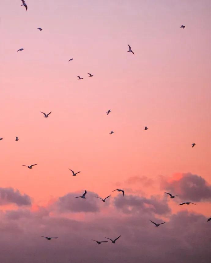 图片[6] - 【xizi被窝段子20200326】不管什么天气，记得随时带上自己的阳光 - xizi