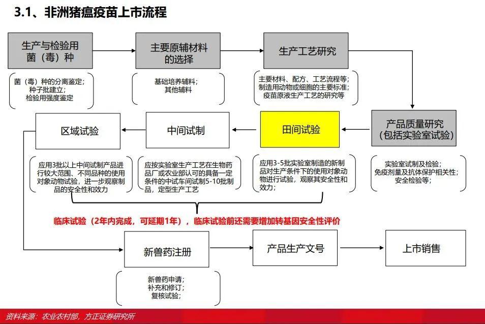 至少一年非瘟疫苗临床试验还有这样一段路要走