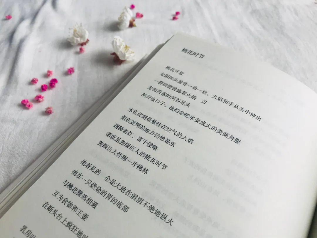 纪念海子春天十个海子全部复活