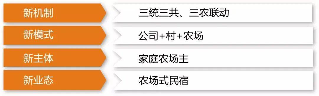 鲁家村采用"公司 村 家庭农场"的组织运营模式,与安吉浙北灵峰旅游