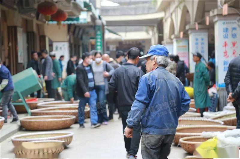 新昌茶叶市场图片