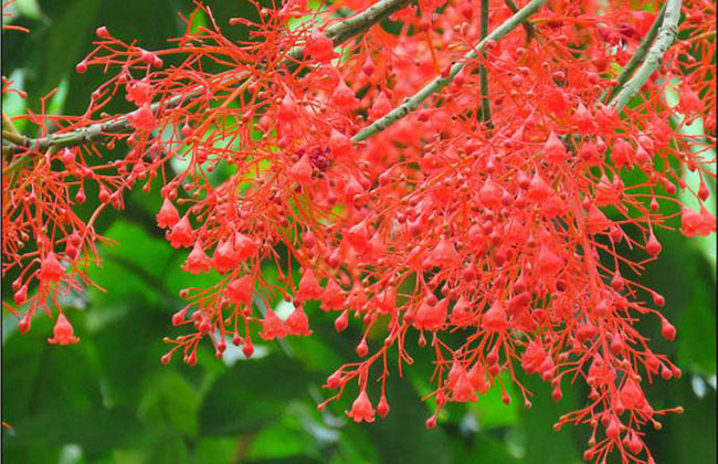 八字算命婚姻婚姻不稳时常闹离婚的八字