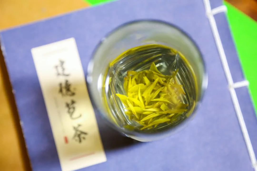 建德苞茶邀你成为推荐人