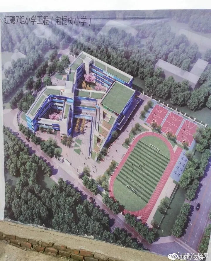 泡桐树小学家族及学区房盘点