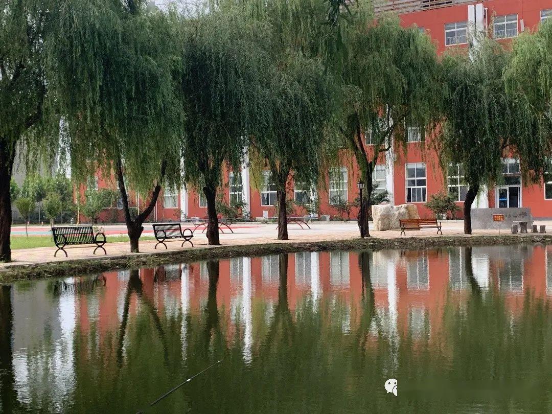 临沂市大地艺术学校致全体师生的一封信