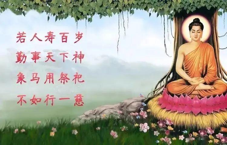 佛说:万事万物,一饮一啄,皆有因果.