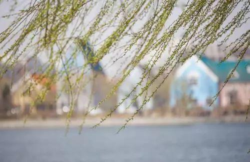 在春天,刮风的天气会变得有点多,而有风的日子对于我们钓鱼来说就非常