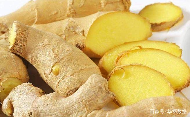 智能中药大数据生姜全汇总新冠肺炎治疗处方中药