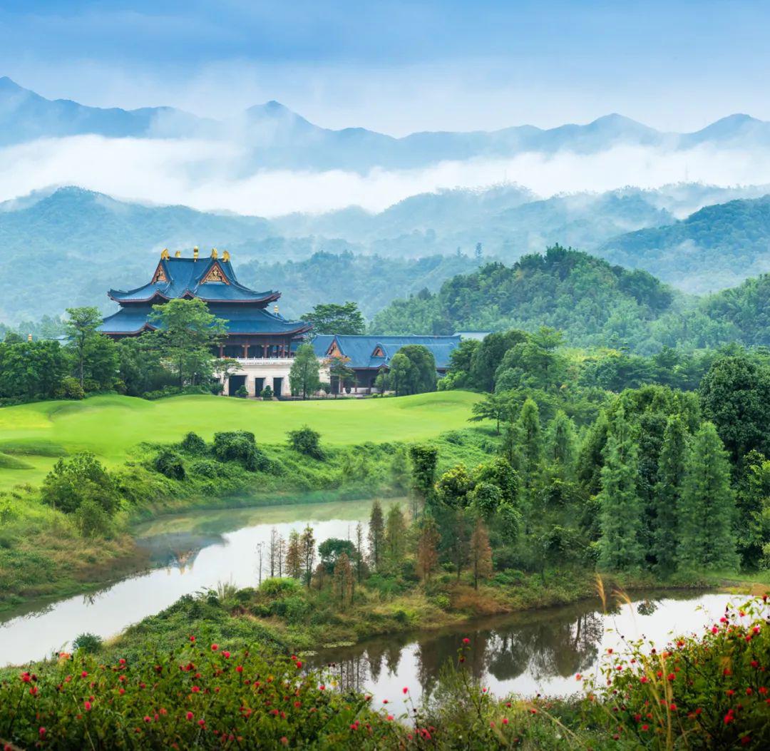 汇悦台之后,为什么是从都?2020年,他们都明白了