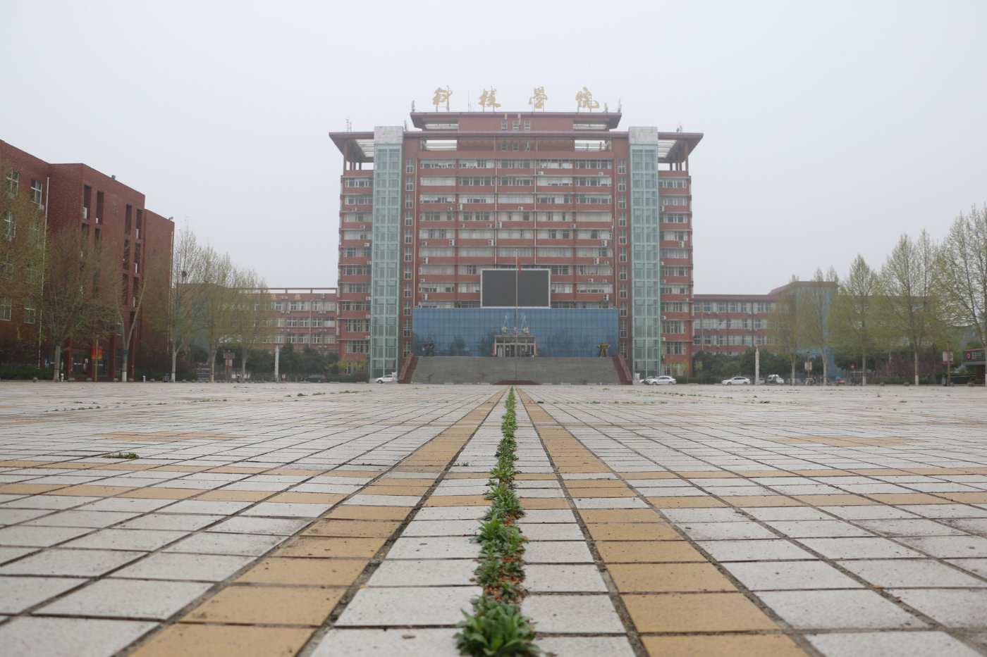 洛陽科技職業學院春日校園風光春風春雨花經眼無時無刻不思君