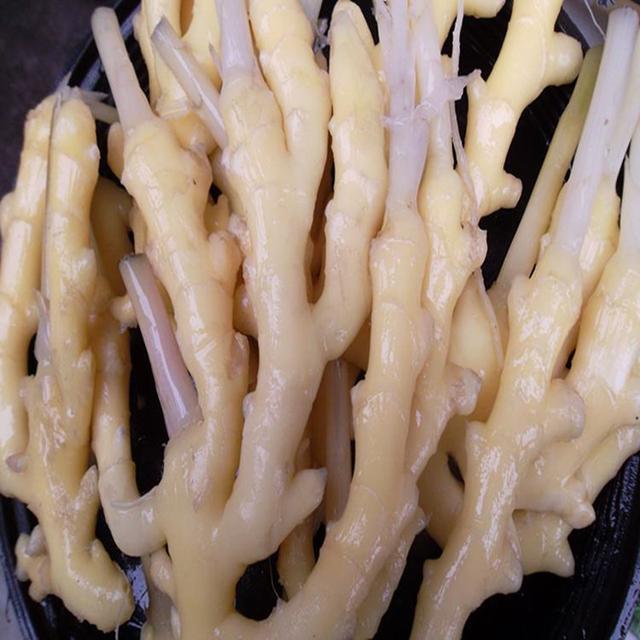 土壤中含有很多微量元素,包括了铜,铁,锌,锰,硼,钼,硒,为千佛竹根姜的