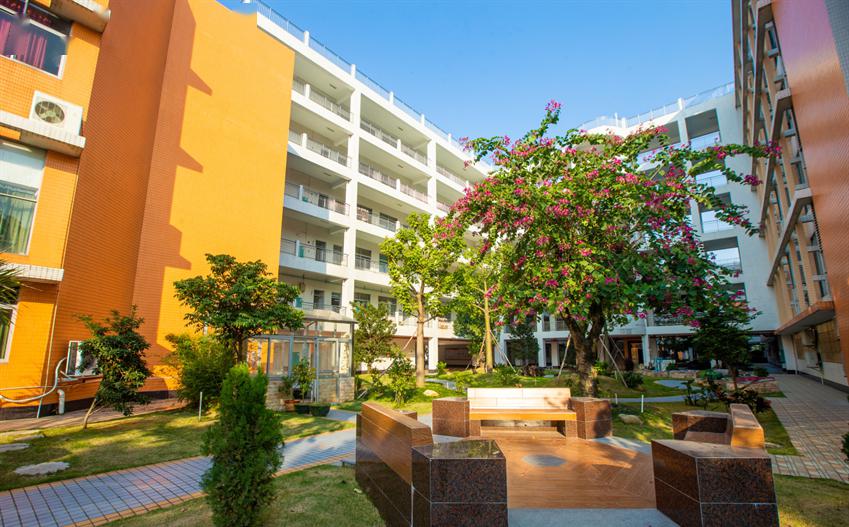 精彩预告佛山云探校带你用不一样的方式解锁顺德一中实验学校