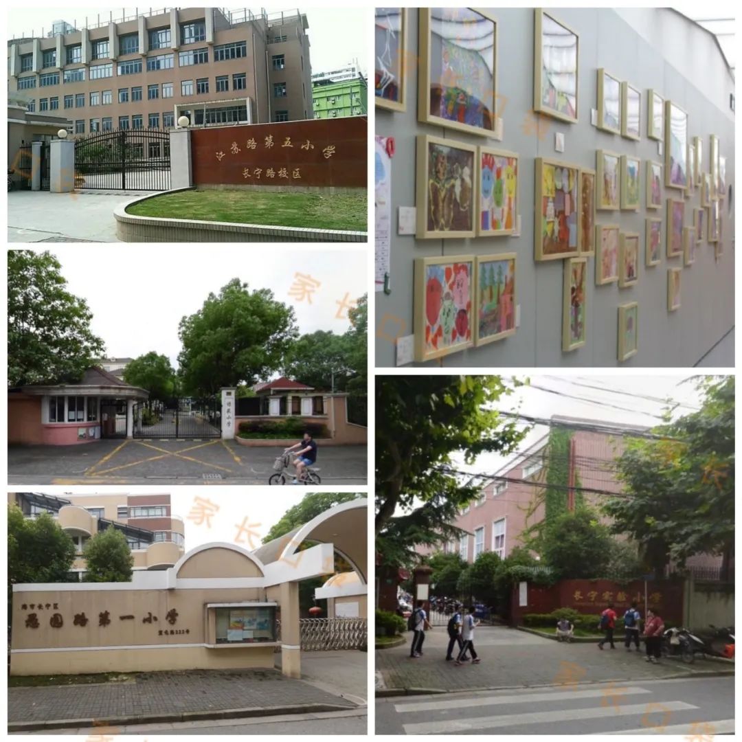 统筹去向一览_小学