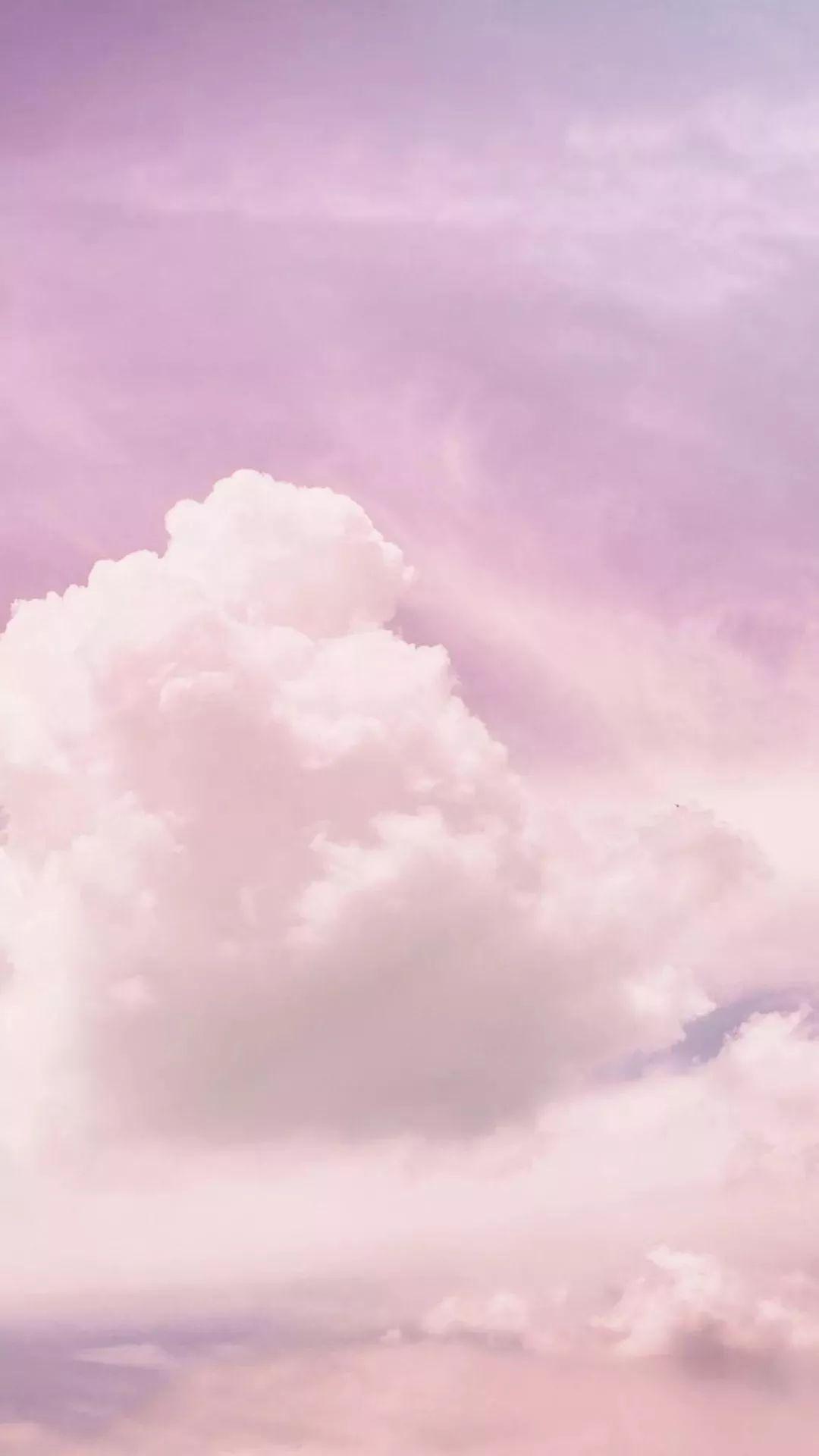 粉色系壁纸 | 白白胖胖,脱单无望. 6767676767676767