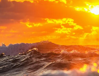 这三大生肖未来三天尽显耀眼光芒,财富的果实享之不尽_肖猴