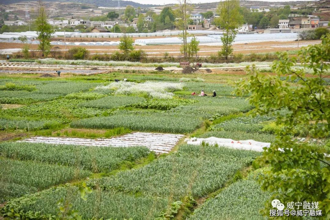 威宁县牛棚镇图片图片