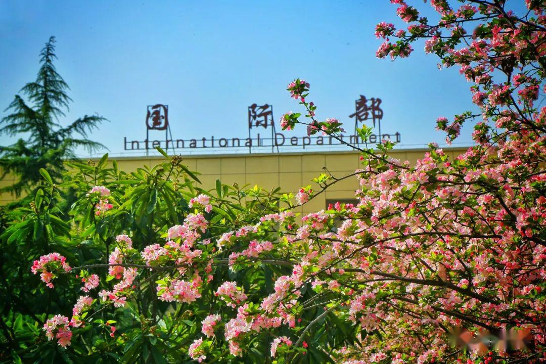 河南枫叶国际学校洛阳市第一职业高中高新区青城路小学吉利区涧西区