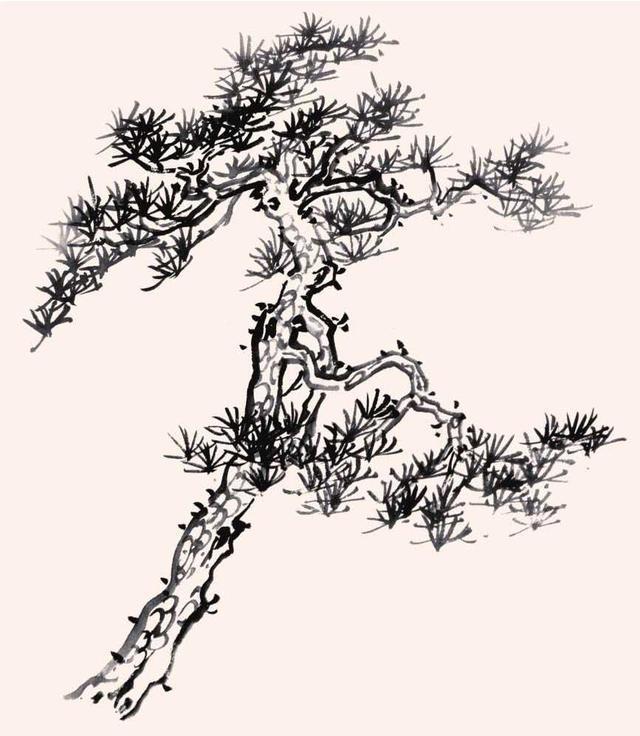 中国国树 国画图片