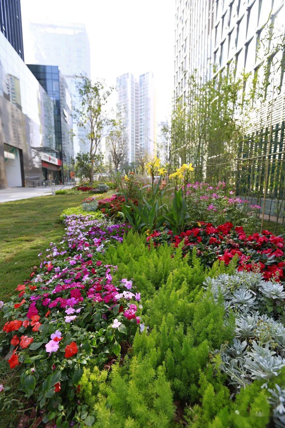 文科园林首获深圳花境花坛优良样板工程金奖