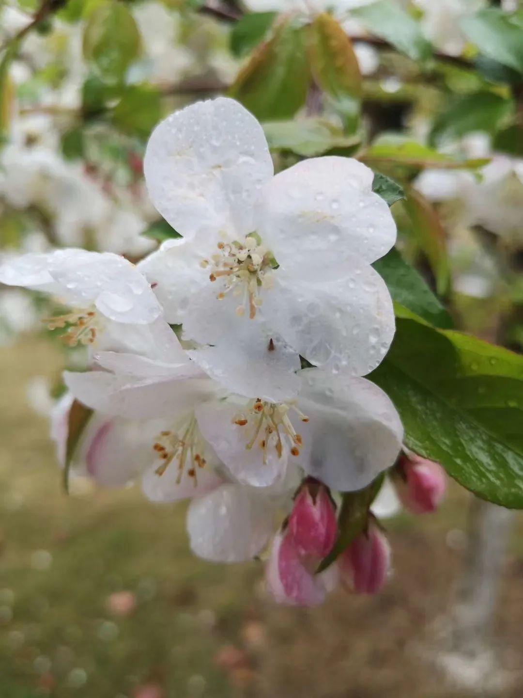 淮南市唯一代表这位二中学子申报全国优秀共青团员请为她点赞助力