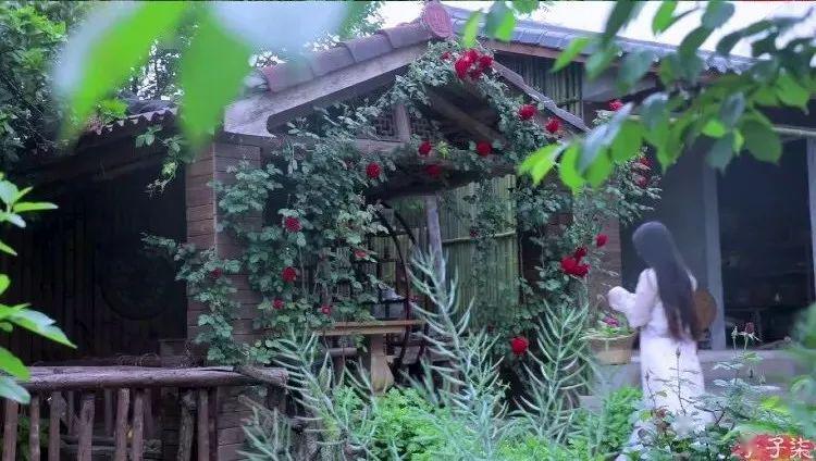 时隔56天李子柒终于回来了真美