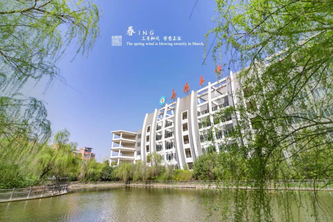 校园动态阜阳五中春来校园等你归