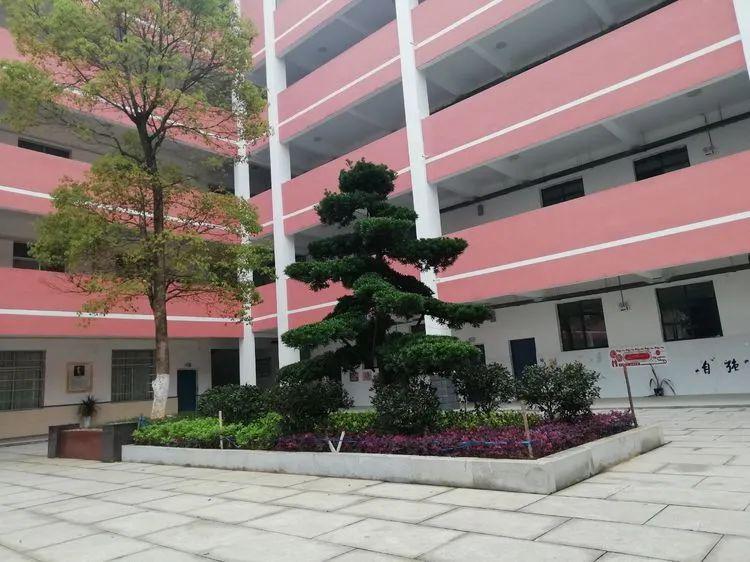 校讯亲们我把五中的春色寄给你