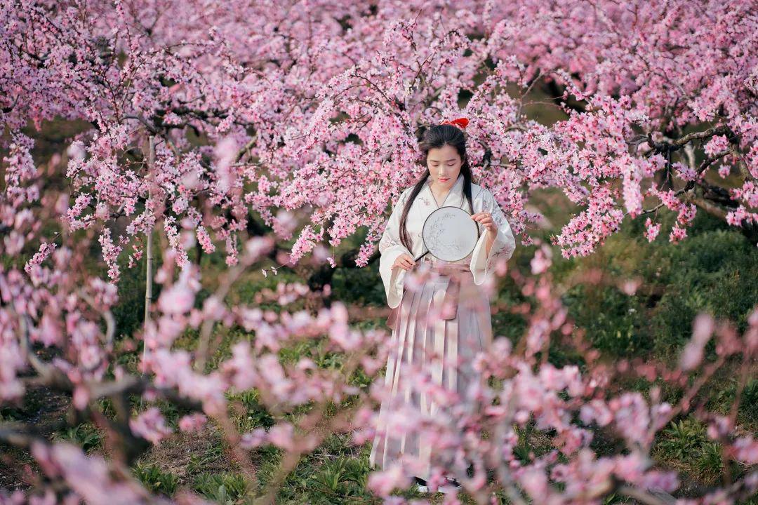 桃花的小伙伴们我们来到了美丽的三桥村这一站我是柘林青年·我为