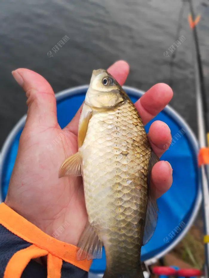 6米好小957:02上第一尾,(铁脑壳)青尾6:48正式坐钓挺车的地方6:18