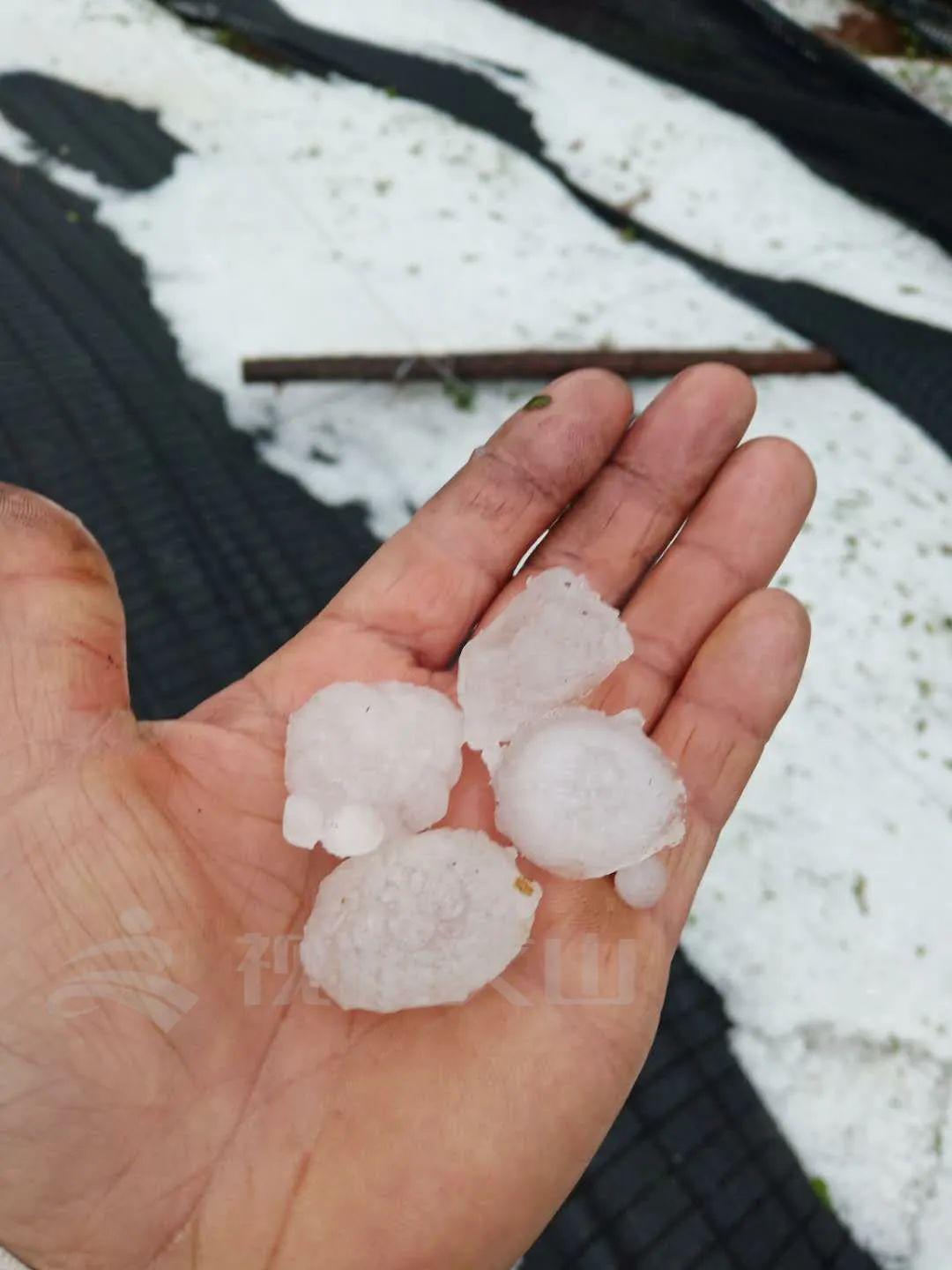 一场冰雹文山七农损失惨重