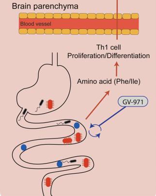 使用excel绘制高分文章模式图