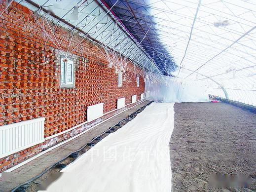 日光温室墙体多种结构形态及性能