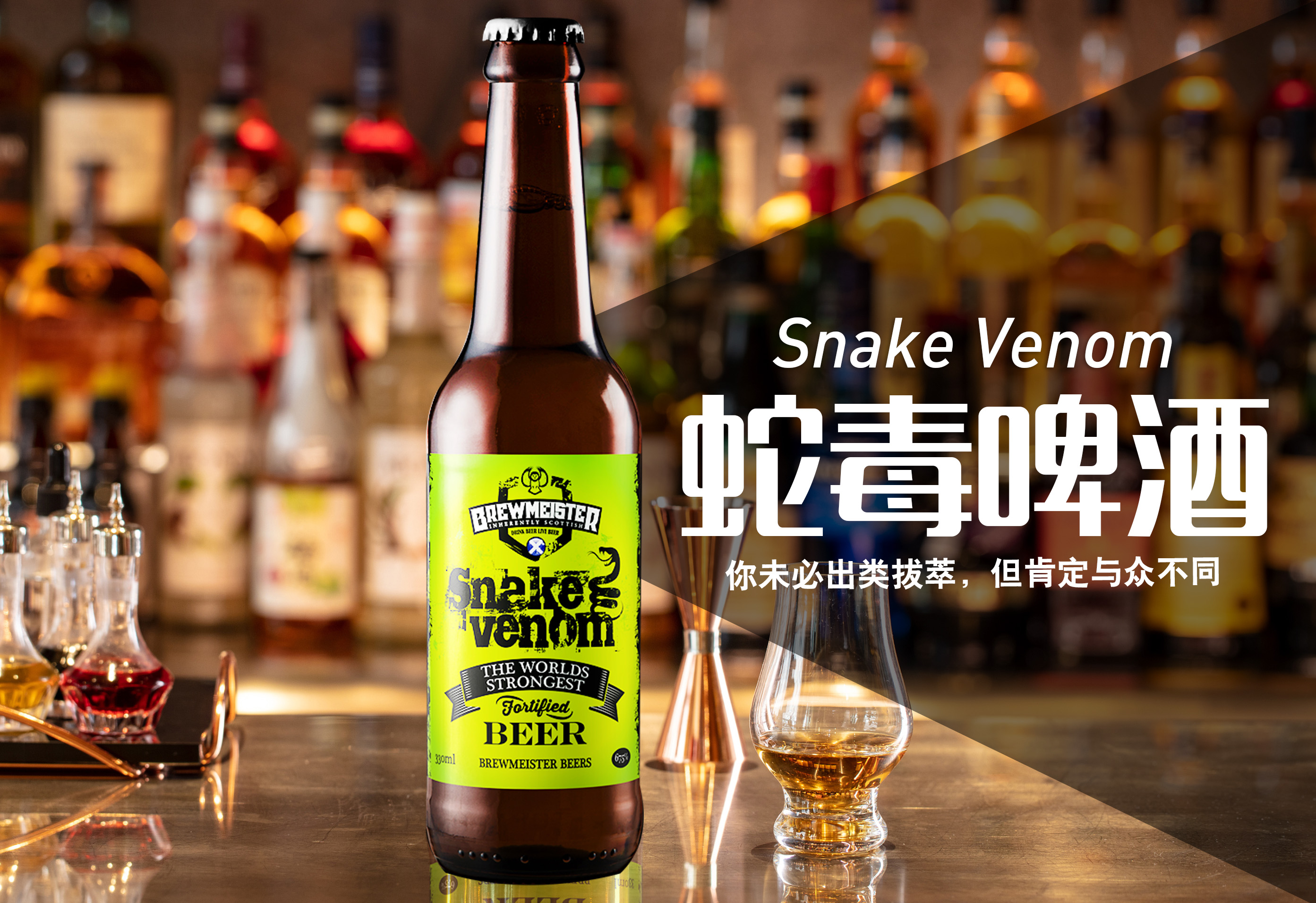 72度啤酒毒蛇图片
