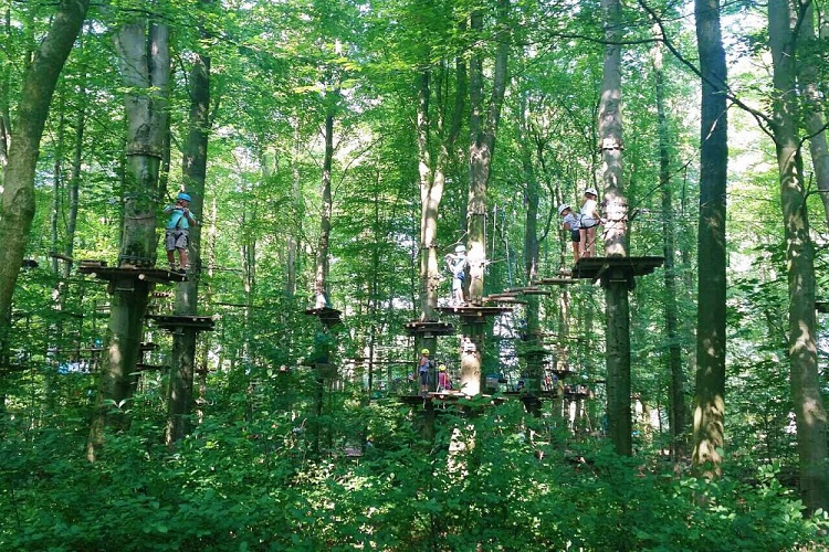 春日游玩树上探险带你探索自然