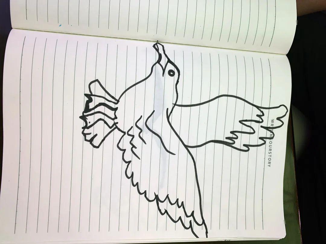 来自遥远的西伯利亚的大批候鸟——红嘴鸥如约而至,飞抵春城昆明越冬.