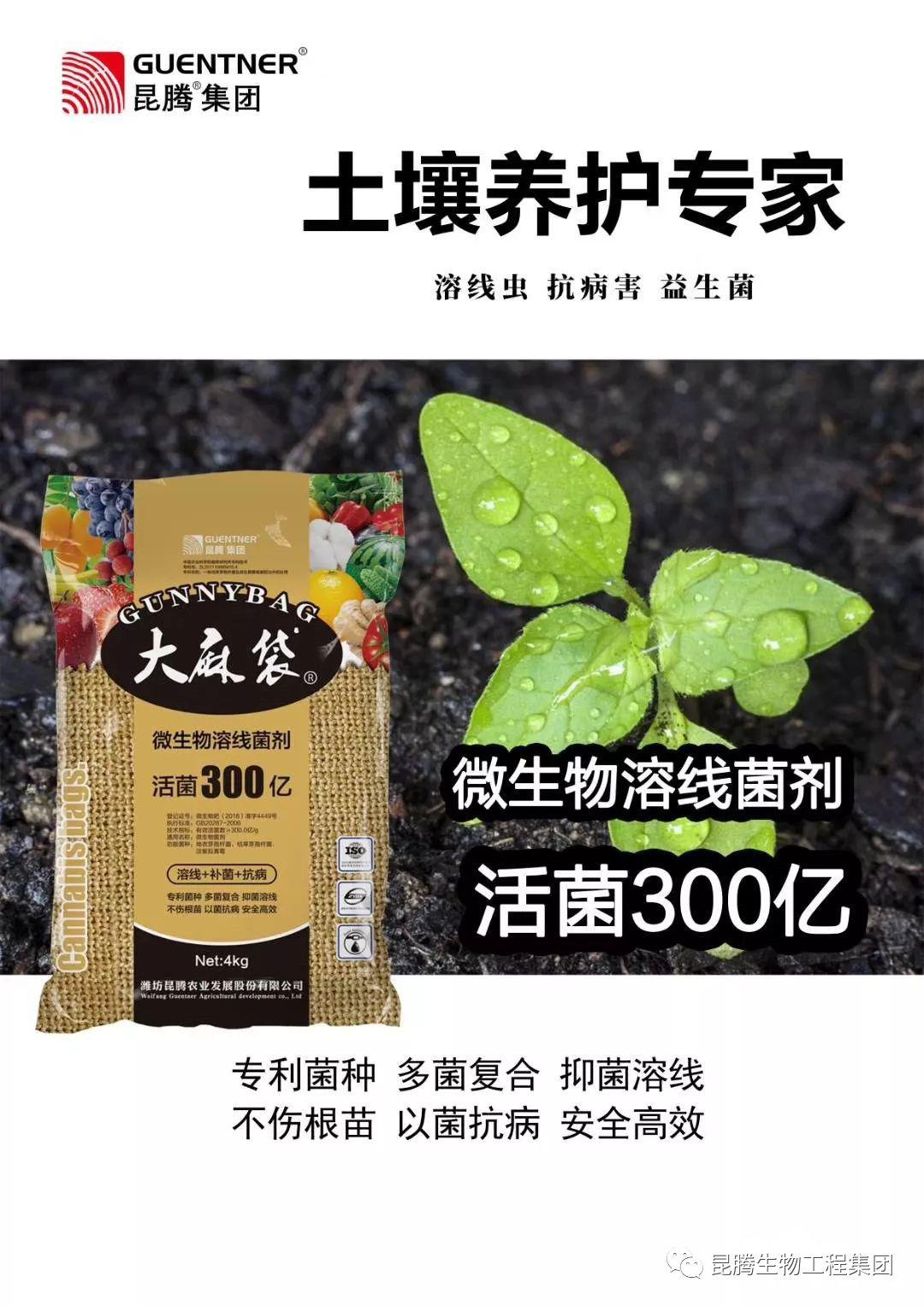 本品采用高活性地衣芽孢杆菌枯草芽孢杆菌淡紫拟青霉复合菌精心培养