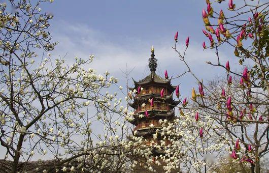 苏轼[宋]常州太平寺法华院薝卜亭醉题晋陵即今江苏常州,唐代属