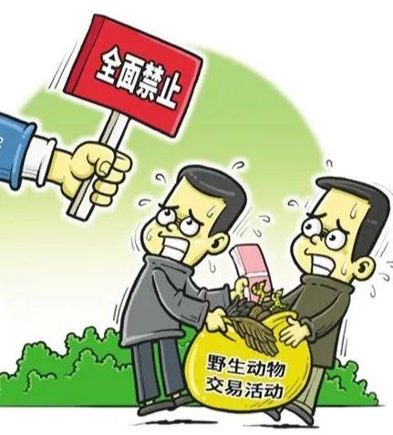 重要通知江西全面禁止非法野生动物交易
