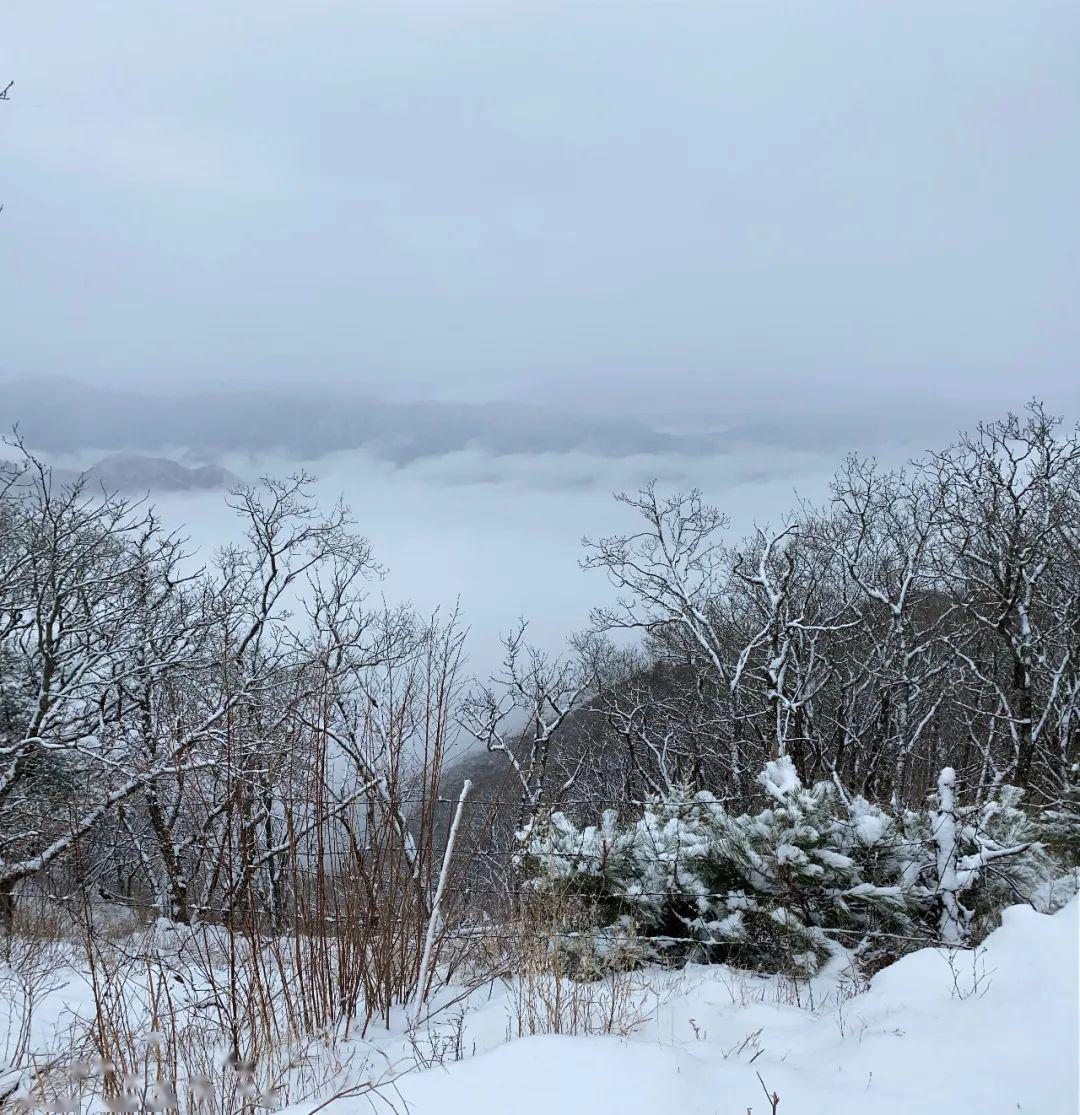 牛背山雪景图片