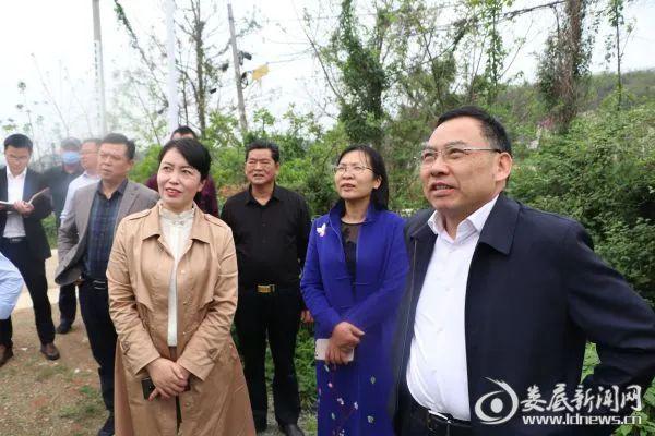 方建荣巡查高灯河现场交办发现的问题