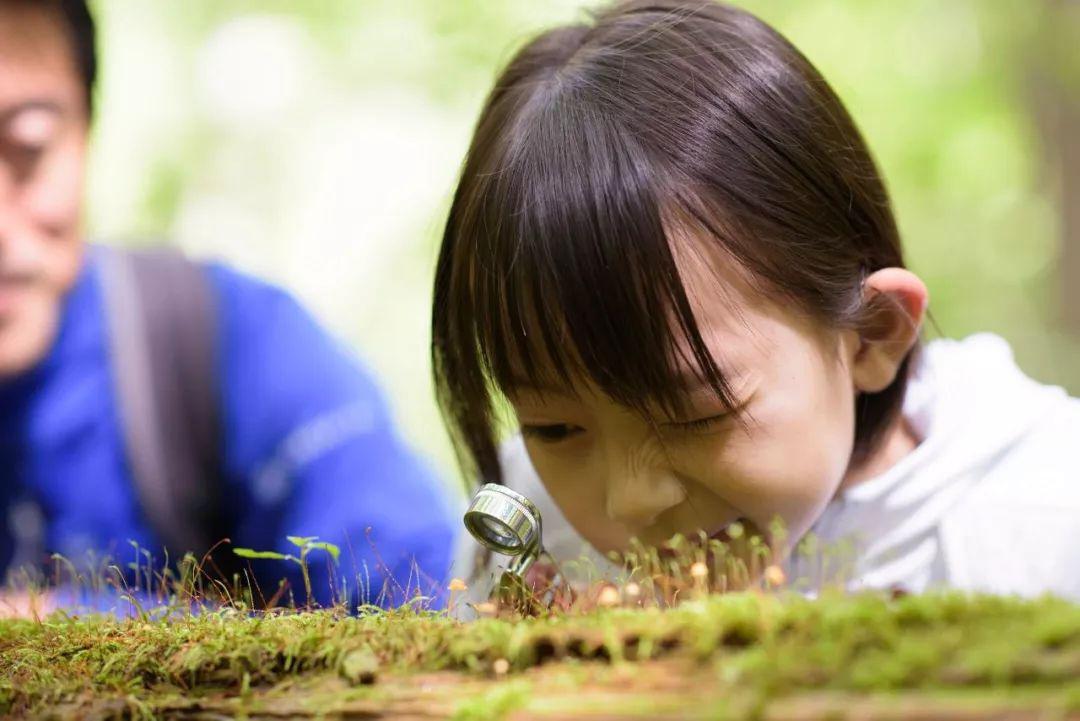 如何保护孩子的好奇心日本鼓励做自由研究