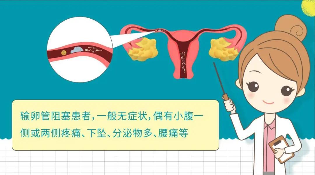 近几年,因为输卵管堵塞导致不孕的女性越来越多,约占整个不孕症人群的