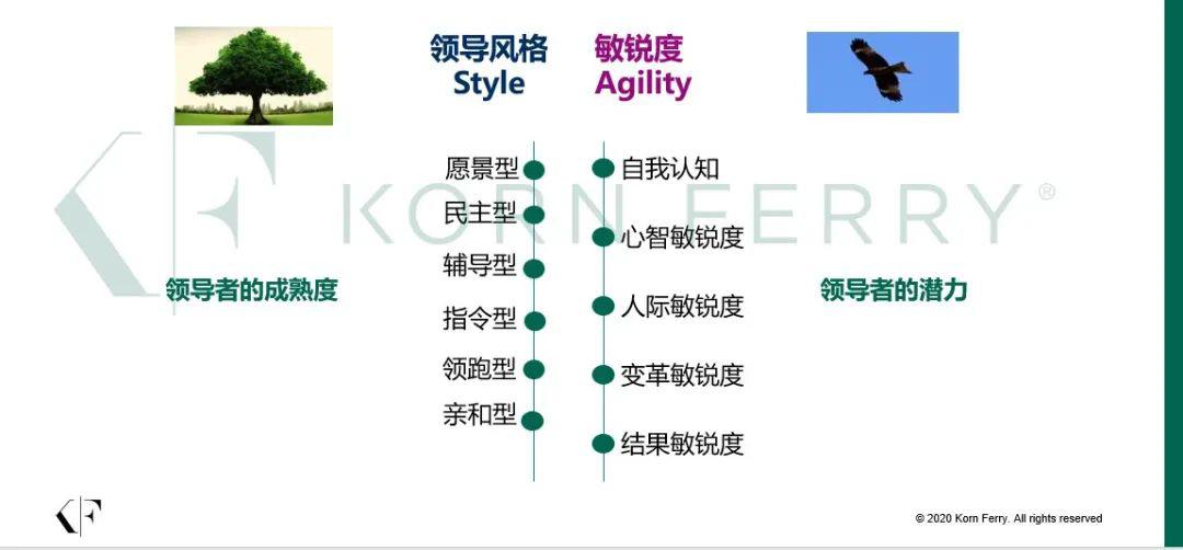 揭秘敏捷领导力,打造高效组织_领导者