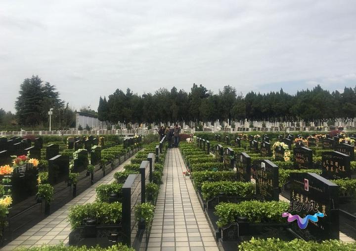 扬州市公墓恢复开放首日预约电话响不停少量市民现场诉哀思